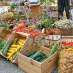 NOS PETITS PRODUCTEURS LOCAUX Profile Picture