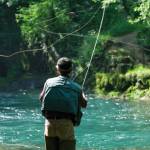 LA PECHE Profile Picture