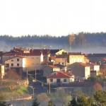 SAINT-PAL-DE-MONS Profile Picture
