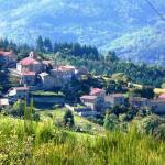 SAINT-BASILE Profile Picture