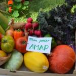 AMAP VIVARAIS-LIGNON Profile Picture